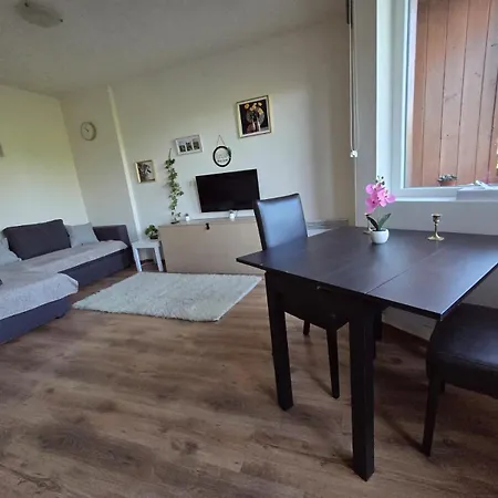 Detelina Apartment